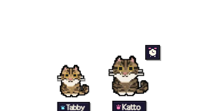 the cat running a lap around its companion